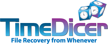 TimeDicer - File Recovery from Whenever